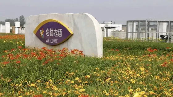 忘憂農場