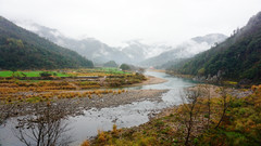 楠溪江游记图片] 触摸楠溪江的诗意