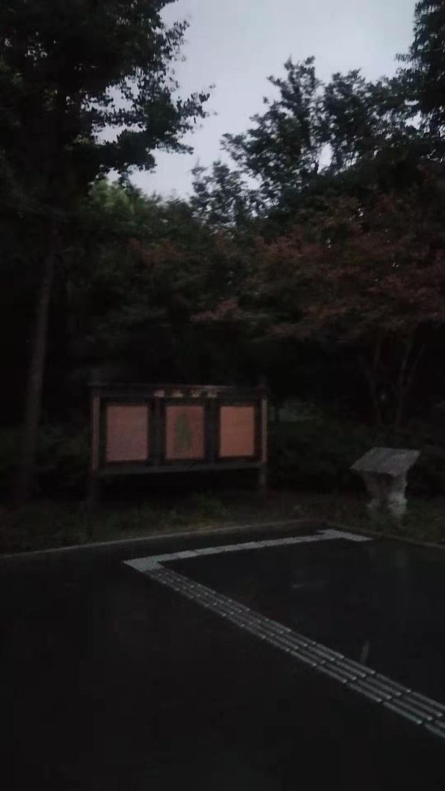 漕溪公园旅行图片 4