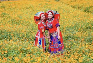 花海 水街 游船 古居...我发现了一个超火的瑶家爱情小镇