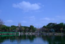 东洲公园景点图片