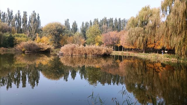 将府公园旅行图片 3