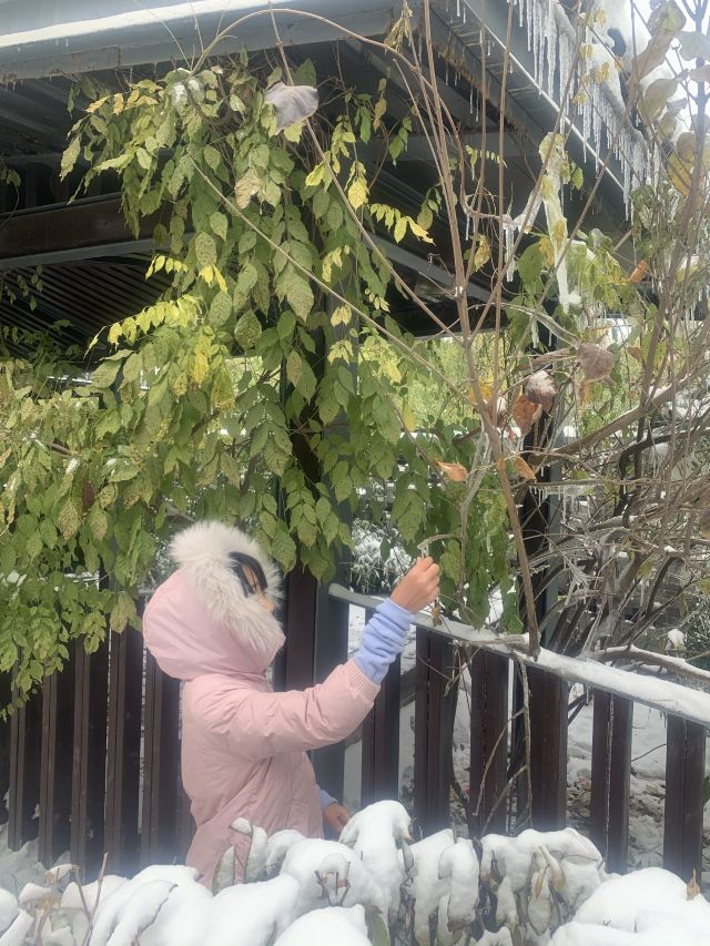 庆丰公园旅行图片 5