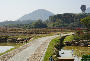 金溪游记图文-游垫村（金溪访古村之五）