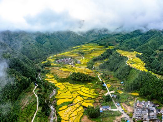 黑山梯田