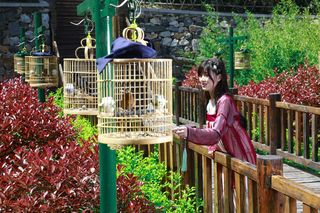 昆玉山 || 清明的昆玉山里,藏着一个梦!