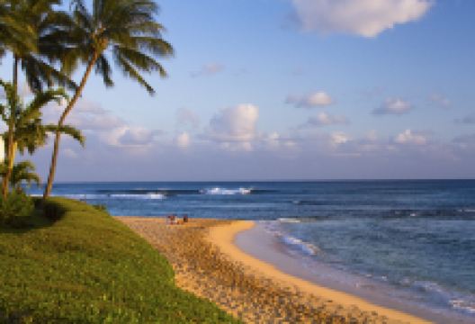 波普海滩公园景点图片