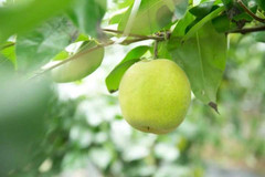 余杭区游记图片] 炎炎夏日，请收藏好这份美食攻略！还有谁能比余杭人更会吃