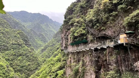 紫微山國家級森林公園