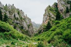 阿坝州纳摩大峡谷-若尔盖