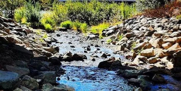 McMillan Creek Fishing Park