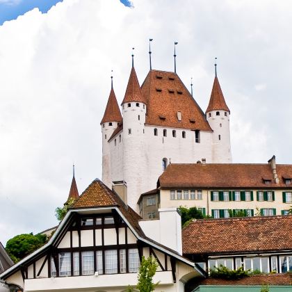 瑞士苏黎世+沙夫豪森+卢塞恩+韦吉斯+贝林佐纳+因特拉肯+蒙特勒+洛桑8日7晚私家团