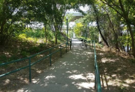 Morrow Pathway景点图片