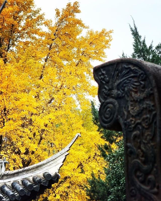 龙华塔旅行图片 7