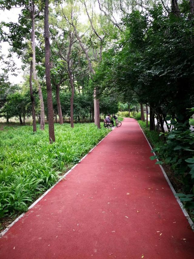 东坝公园旅行图片 2
