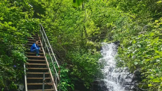 南山國家森林公園