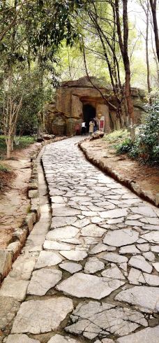 古猿人洞-南京-*蚂蚁8