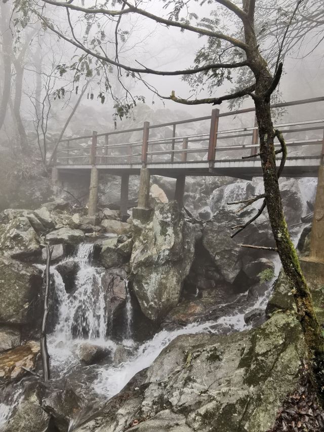 马鬃岭景区旅行图片 4