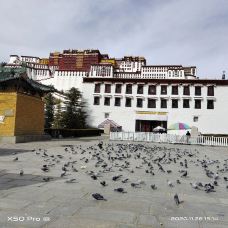 布达拉宫白宫-拉萨-YoYo_0G7P7V9D