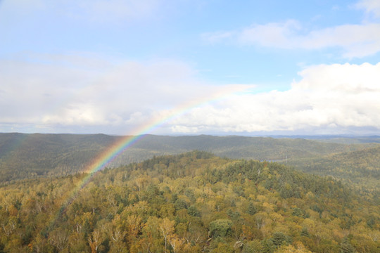 美丽的小兴安岭