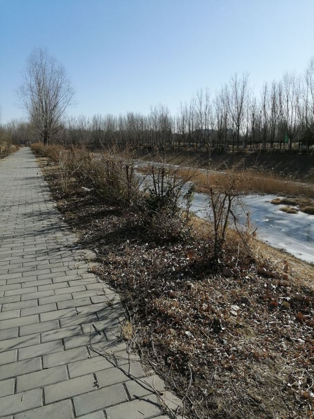 奥北森林公园二期北区旅行图片 1