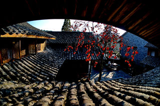 元旦去哪儿？温州这个新晋5A景区看点多多，约一场放飞自我之旅