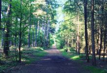 Eastwood RSPB Reserve景点图片