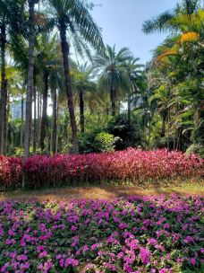 珠江公园-广州-野渡