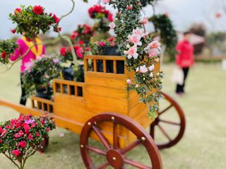 最美赏花地，山谷里的“童话乐园”，让你的快乐永无止境！