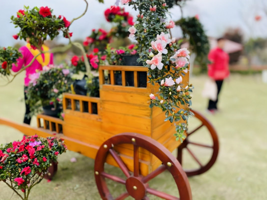 最美赏花地，山谷里的“童话乐园”，让你的快乐永无止境！