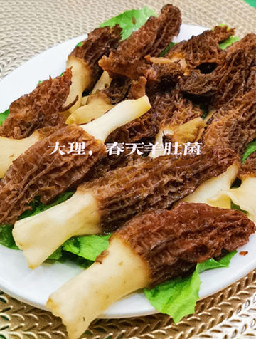 人间值得，鲜到怀疑人生的大理羊肚菌汤
