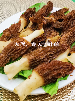 人间值得,鲜到怀疑人生的大理羊肚菌汤