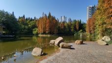 珠江公园-广州-超级动感小鳗鱼