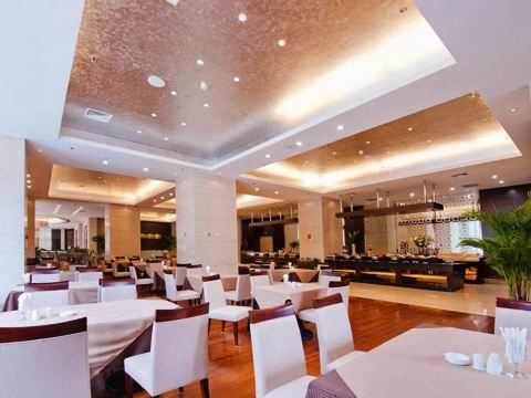 Gallery 3
