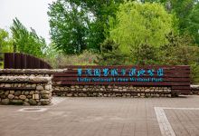 翠湖国家城市湿地公园景点图片