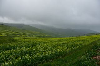 承德丰宁坝上草原绿途酒店，打卡北京最近草原，吃喝玩乐嗨翻天