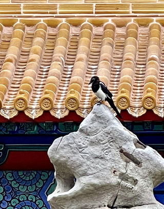 皇家园林 游客稀疏