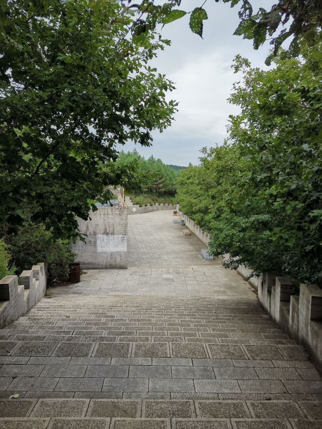 慈云寺旅行图片 1