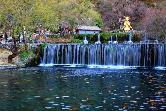 丽江玉水寨风景区旅行图片 5