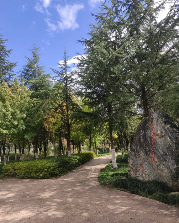 草海隧道公园