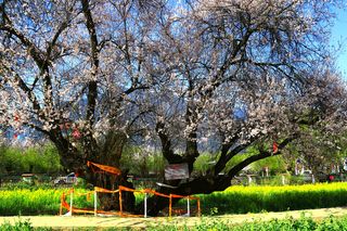 遇见大美中国 感受诗和远方 行走祖国大地系列之一 综合篇(6)G318川藏线自驾游路书(下)