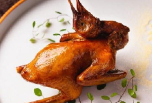 南粤光明乳鸽(光明总店)美食图片