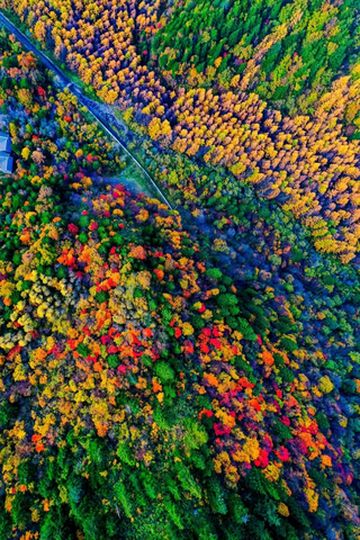 争创国家全域旅游示范区 | 请一定，不要错过阿坝州的秋天！