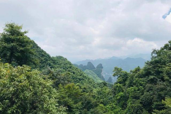 南有张家界，北有柴埠溪，坐上索道直冲云天，感受武陵山脉的灵秀