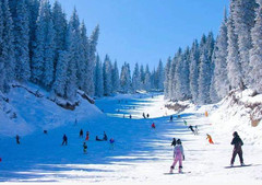 铜川游记图片] 冬日滑雪推荐榜，铜川市照金滑雪场一定榜上有名