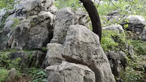 奇石林