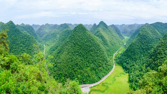 茂蘭喀斯特森林保護區
