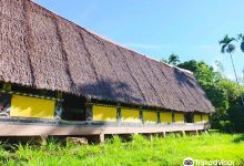 Airai Bai景点图片