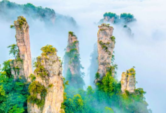 张家界国家森林公园景点图片