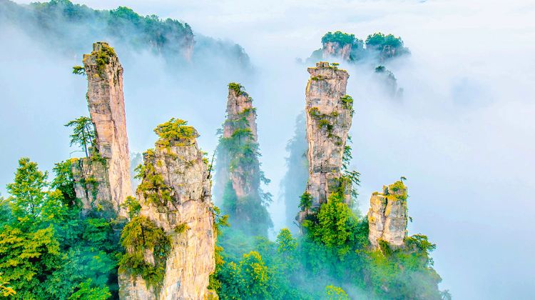 4-Day Exclusive Zhangjiajie & Fenghuang Private Tour·Tianmen Mountain and Fenghuang Ancient Town丨Core Scenic Areas and Majestic Views